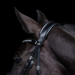 Hoofdstel HV Polo Diana
