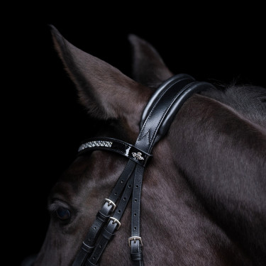 Hoofdstel HV Polo Diana