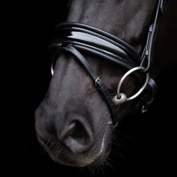 Hoofdstel HV Polo Diana