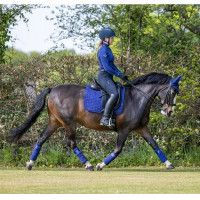 LeMieux Suede Dressuur Zadeldek Benetton blauw LeMieux Suede Dressuur Zadeldek Benetton blauw