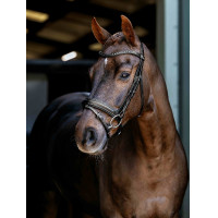 Arika Dressage Bridle LeMieux