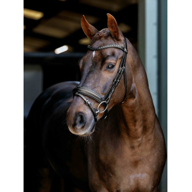 Arika Dressage Bridle LeMieux Arika Dressage Bridle LeMieux
