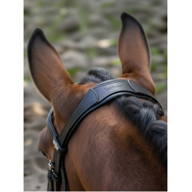 Arika Dressage Bridle LeMieux Arika Dressage Bridle LeMieux