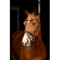 Arika Dressage Bridle LeMieux Bruin / zilver