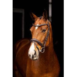 Arika Dressage Bridle LeMieux Bruin / zilver