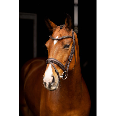 Arika Dressage Bridle LeMieux Bruin / zilver