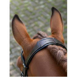 Arika Dressage Bridle LeMieux Bruin / zilver