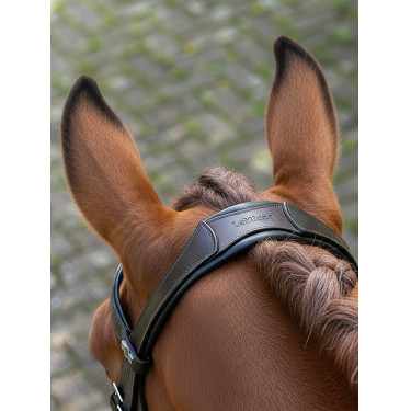 Arika Dressage Bridle LeMieux Bruin / zilver