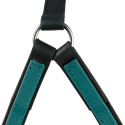 AMERIKAANSE BRICOLE BETA Groen