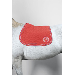 Zadelpad voor paard Harcour Blake – Equi-Clic Zadelpad voor paard Harcour Blake – Equi-Clic