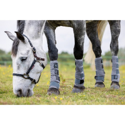 Vliegenbeschermers LeMieux Gladiator Mesh Vliegenbeschermers LeMieux Gladiator Mesh