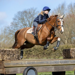 LeMieux Carbon Air XC Peesbeschermers LeMieux Carbon Air XC Peesbeschermers