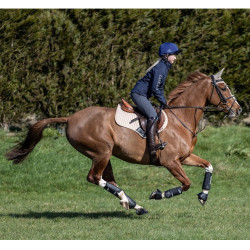 LeMieux Carbon Air XC Peesbeschermers LeMieux Carbon Air XC Peesbeschermers