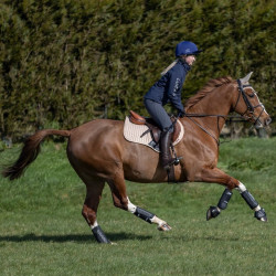 LeMieux Carbon Air XC Peesbeschermers Zwart LeMieux Carbon Air XC Peesbeschermers Zwart