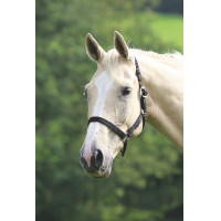 Shires Wessex halster Zwart
