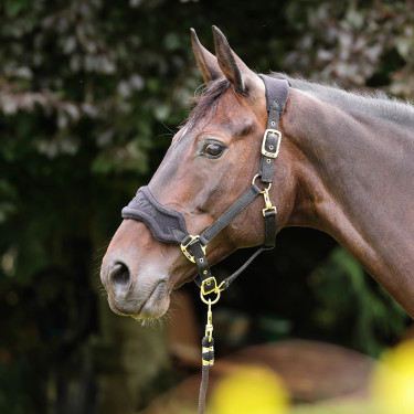 Shires Arma halster en fleece halstertouw Zwart