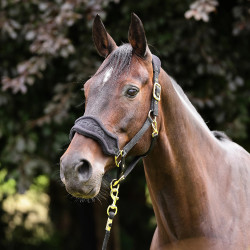 Shires ARMA halster + fleece touw | Paardrijden