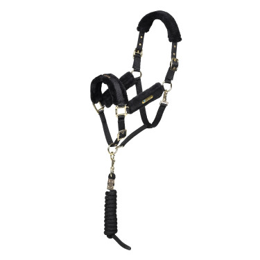 Halster en lijn voor paard – Shires ARMA – Equi-Clic