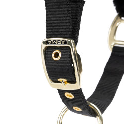 Halster en lijn voor paard – Shires ARMA – Equi-Clic