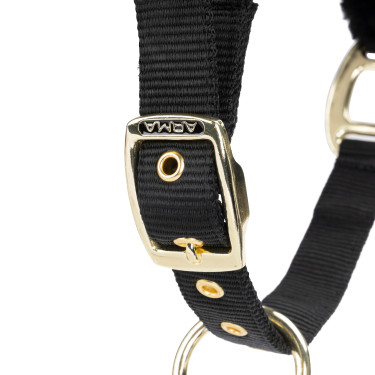 Halster en lijn voor paard – Shires ARMA – Equi-Clic