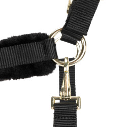 Halster en lijn voor paard – Shires ARMA – Equi-Clic