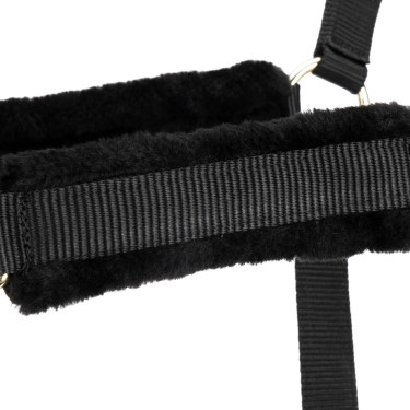 Halster en lijn voor paard – Shires ARMA – Equi-Clic
