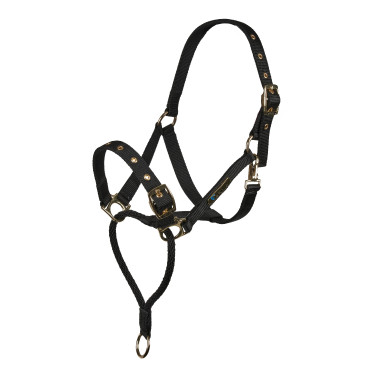 Controlehalster voor paarden Shires ARMA – training Controlehalster voor paarden Shires ARMA – training