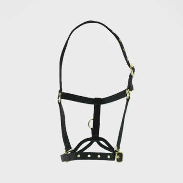 Controlehalster voor paarden Shires ARMA – training Controlehalster voor paarden Shires ARMA – training