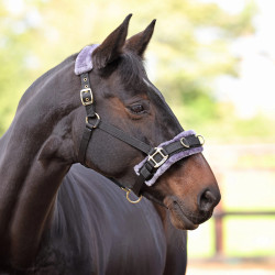 Longeercaveçon voor paarden met fleecevoering | Equi-Clic