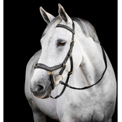Hoofdstel Horseware Micklem® Multi