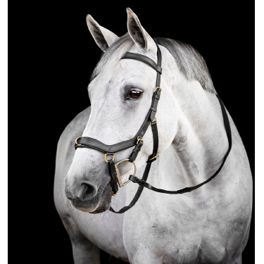 Hoofdstel Horseware Micklem® Multi