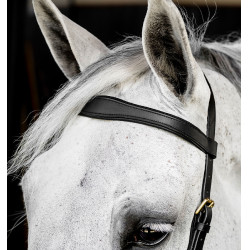 Hoofdstel Horseware Micklem® Multi