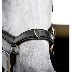 Hoofdstel Horseware Micklem® Multi