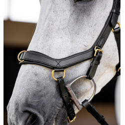 Hoofdstel Horseware Micklem® Multi
