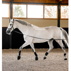 Hoofdstel Horseware Micklem® Multi