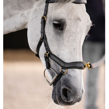 Hoofdstel Horseware Micklem® Multi