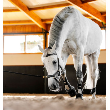 Hoofdstel Horseware Micklem® Multi