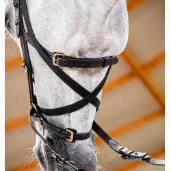 Hoofdstel Horseware Micklem® Multi