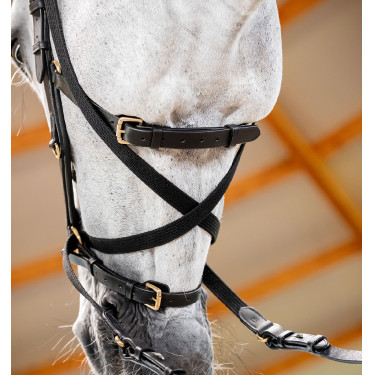 Hoofdstel Horseware Micklem® Multi