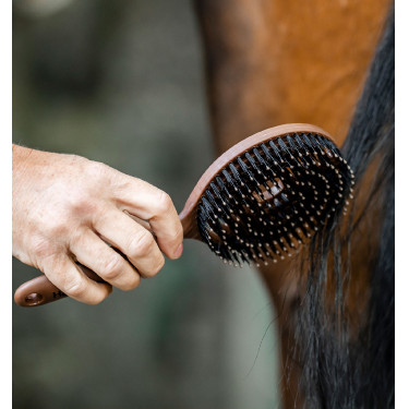 Paardenhaar- en staartborstel Horseware