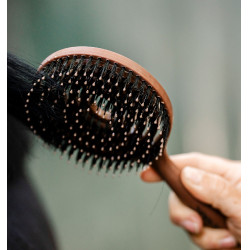 Paardenhaar- en staartborstel Horseware
