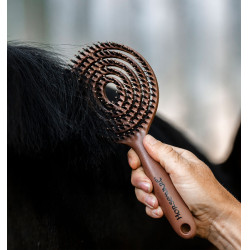 Paardenhaar- en staartborstel Horseware