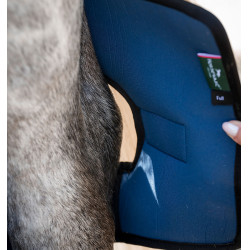 Horseware Ionic Therapy spronggewrichtbeschermers Horseware Ionic Therapy spronggewrichtbeschermers