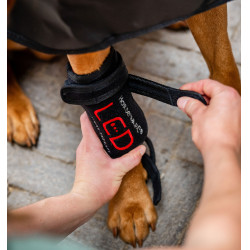 Horseware LED-lichttherapiewindels voor poten van huisdieren Paar