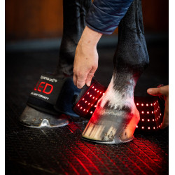 Horseware set van 4 mini LED-roodlichttherapiebandages