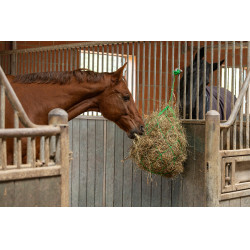Hooinet 10x10 Groen