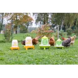 Voederbak met Ladies-motief