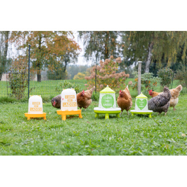 Voederbak met Ladies-motief