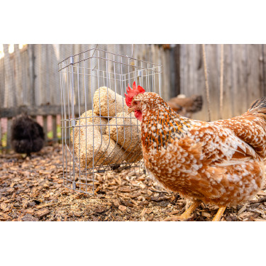 Ruif voor kleine dieren