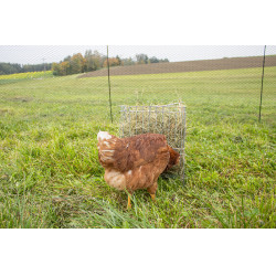 Ruif voor kleine dieren